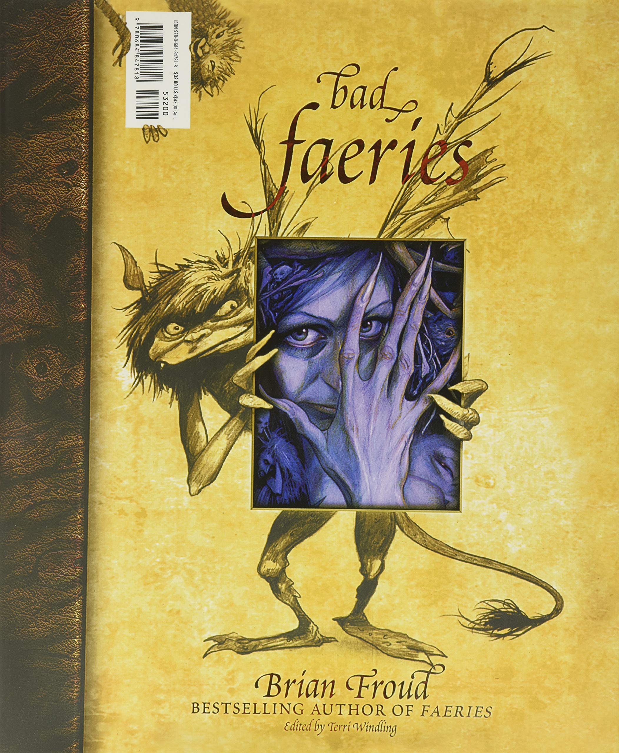 Good Faeries Bad Faeries Brian Froud Terri Windling 9780684847818 Amazon Com Books