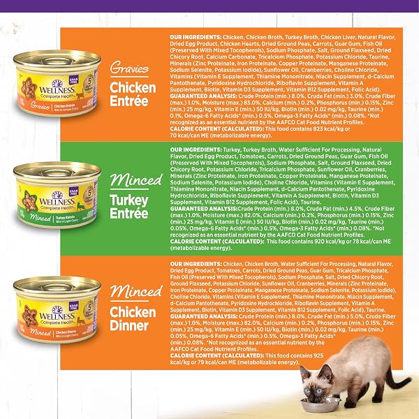 WELLNESS COMPLETE HEALTH GRAVY AND MINCED VARIETY PACK ADULT CANNED WET CAT FOOD, NATURAL, PROTEIN RICH, GRAIN FREE, CHICKEN AND TURKEY LOVERS, 3 OZ, PACK OF 12 CANS