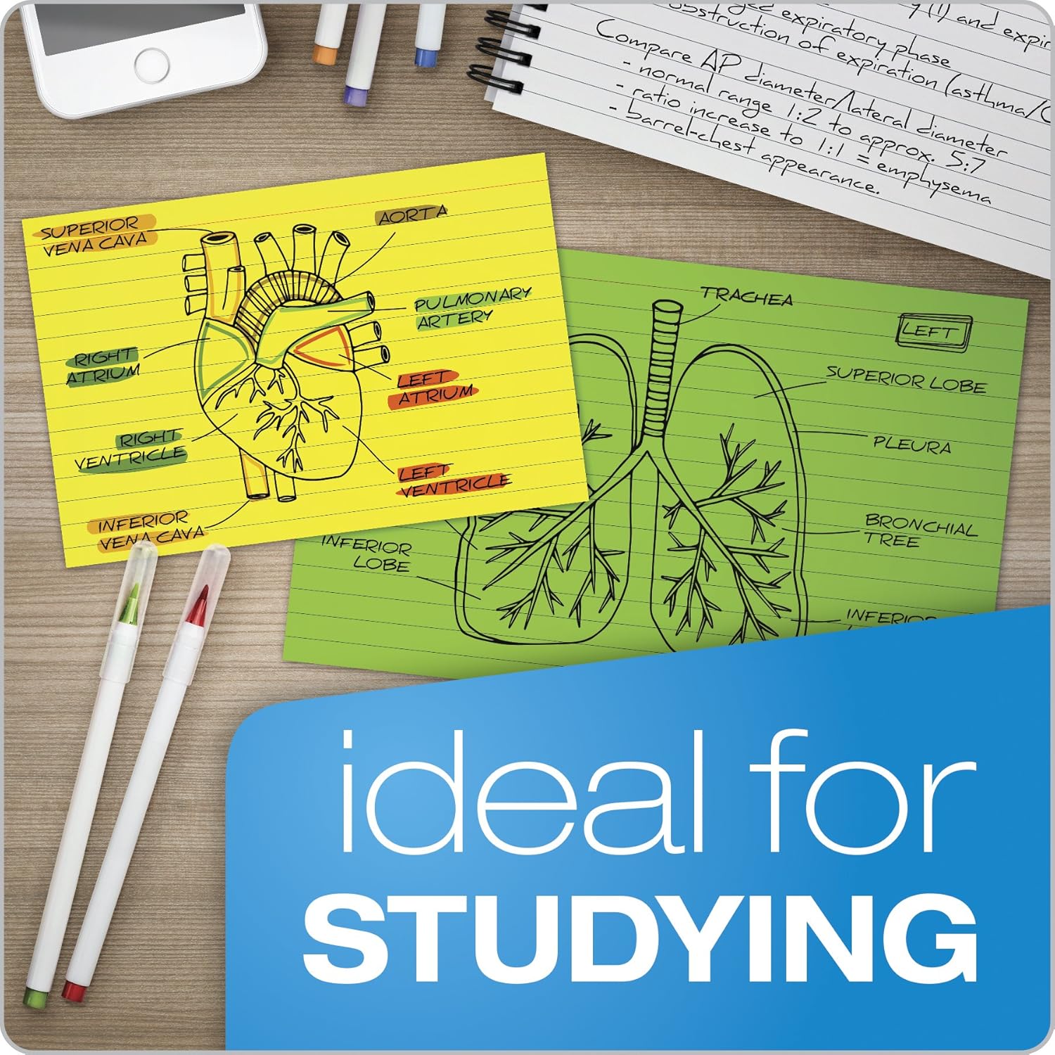Oxford Neon Index Cards, 3" x 5", Ruled, Assorted Colors, 300 Per Pack (81300EE) : Office Products