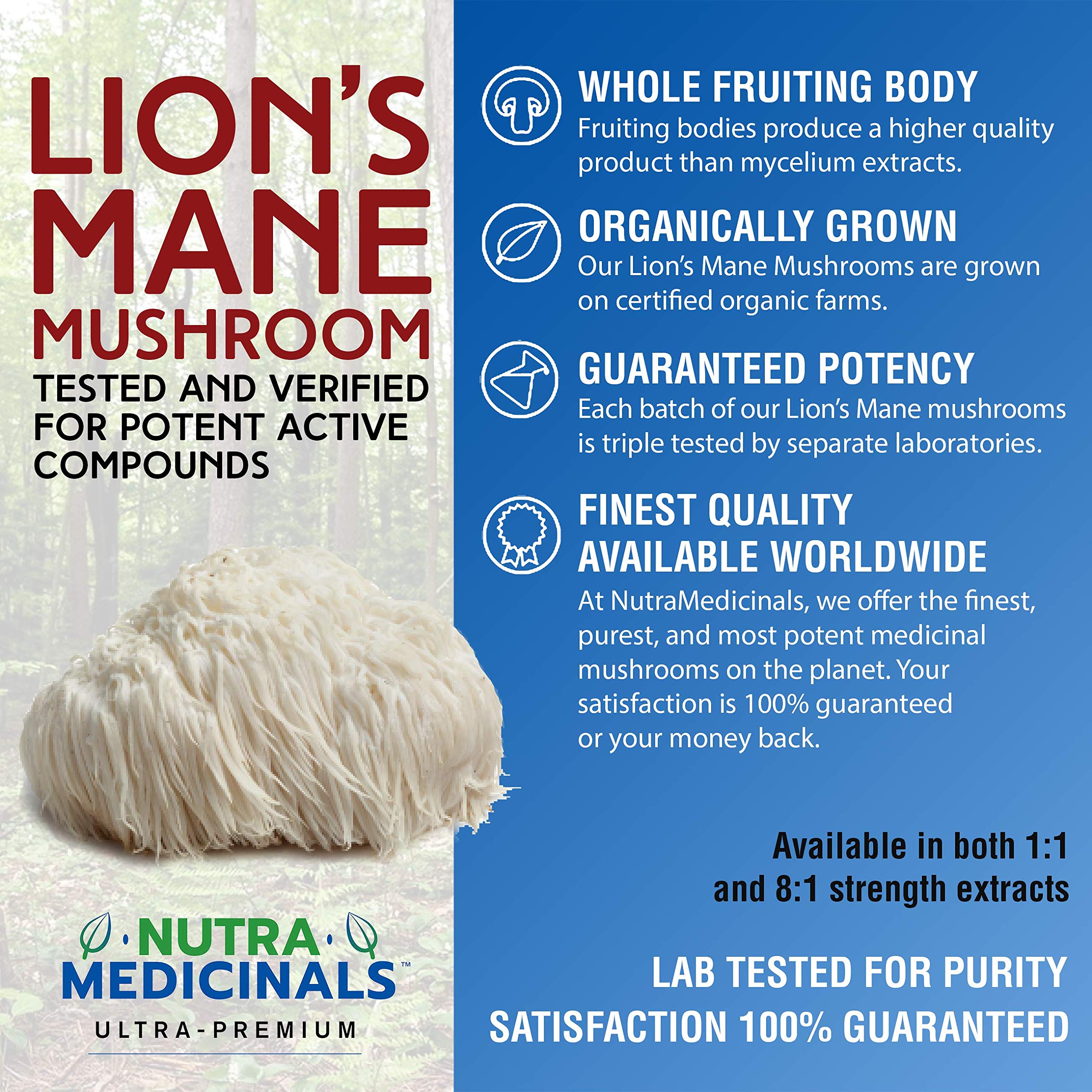 NutraMedicinals – Lion\'s Mane Mushroom Capsules – Nerve (NGF) & Brain Support – Natural Nootropic Supplement for Memory, Focus & Cognition – Non-GMO, Vegan, Organic (30 Caps, 1:1 Extract)