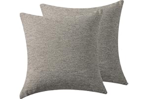 EVAsponge Decorative Indoor Throw Pillows with Inserts 18x18 Inch Set of 2 – Fall Modern & Anthropologie Home Decor for Living Room, Bedroom | Soft Throw Pillows for Sofa, Couch