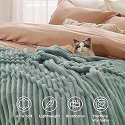 Bedsure GentleSoft Twin XL Blanket for Couch - Cozy