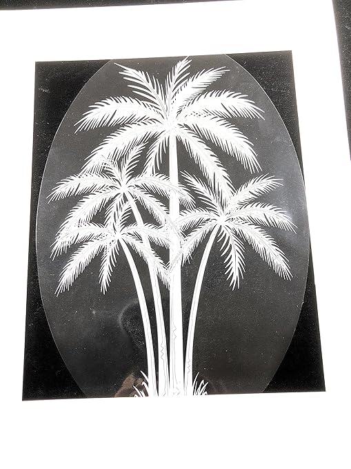DCentral Palm Tree Removable Window Decal. Look of CLEAR