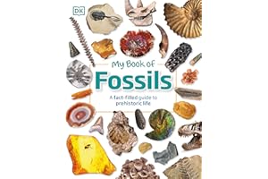 My Book of Fossils: A fact-filled guide to prehistoric life