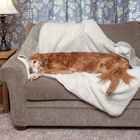 thermal dog blanket
