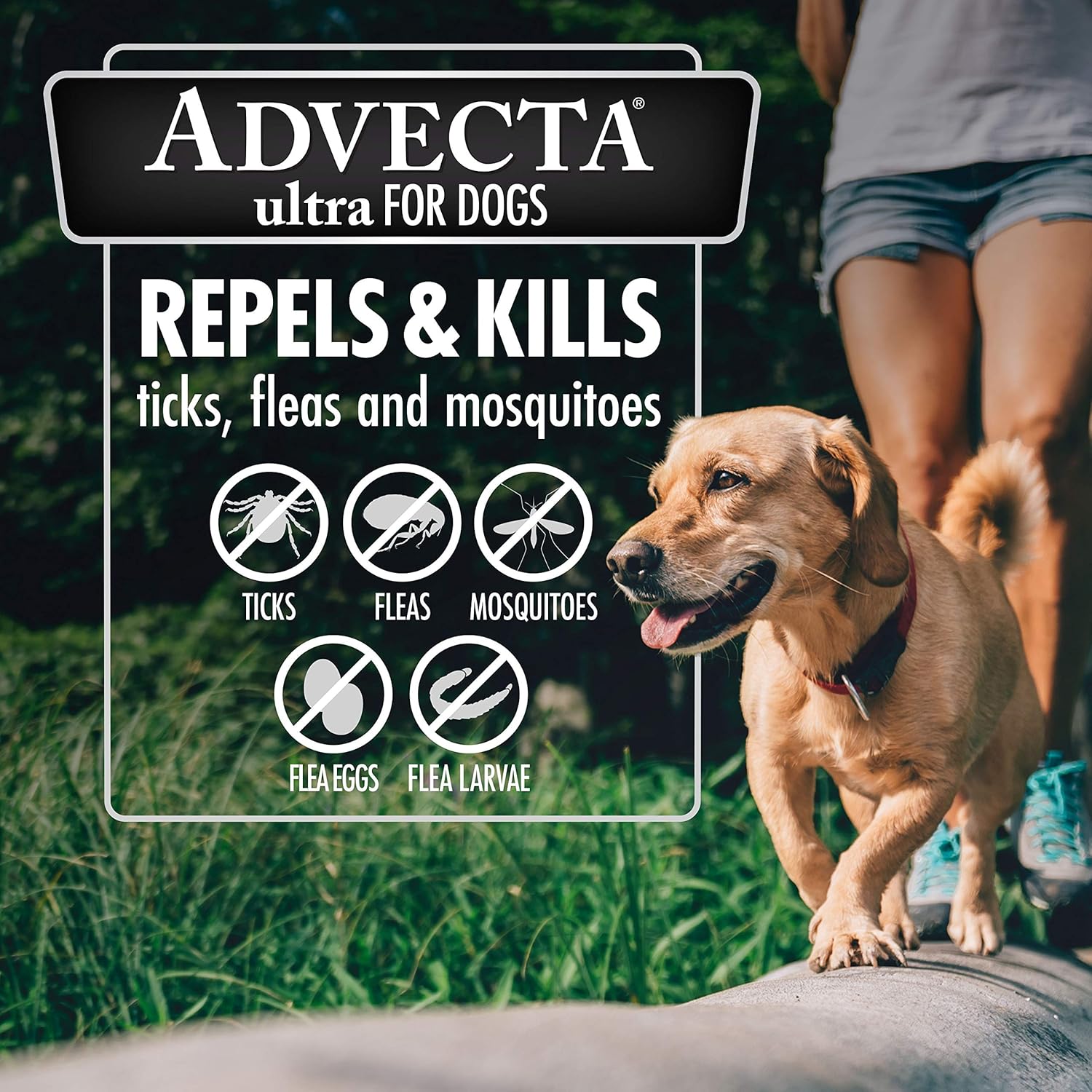 advecta flea and tick