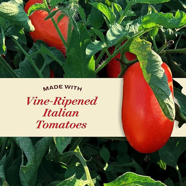 RAO’S HOMEMADE TOMATO SAUCE, 24 OZ, PASTA SAUCE, CARB CONSCIOUS, KETO FRIENDLY, ALL NATURAL, PREMIUM QUALITY, NO ONIONS OR GARLIC, WITH ITALIAN TOMATOES & OLIVE OIL, 1.5 POUND (PACK OF 1)