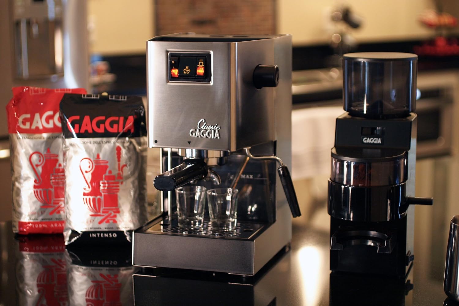 Gaggia 14101 Classic Espresso Machine 