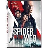 Spider In The Web