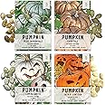 Seed Needs, Specialty Pumpkin Seed Packet Collection (4 Individual Varieties of Pumpkin Seeds for Planting) Fairytale, Blue Jarrahdale, Lumina White & Jack O Lantern