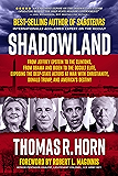 Shadowland: From Jeffrey Epstein to the Clintons, from Obama and Biden to the Occult Elite,  Exposing the Deep-State Actors at War with Christianity, Donald Trump, and America's Destiny