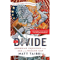 The Divide: American Injustice in the Age of the Wealth Gap book cover