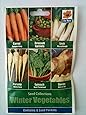 Winter Vegetable Seed Collection 6 in 1 pack