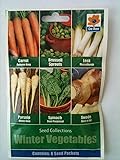 Winter Vegetable Seed Collection 6 in 1 pack