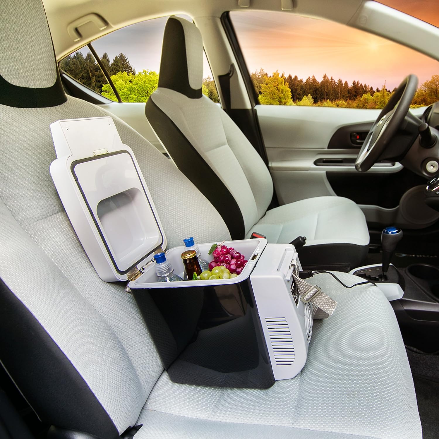 Auto Cooler Personal Plug In Fridge/Warmer Heat Cool Travel Lunch Box