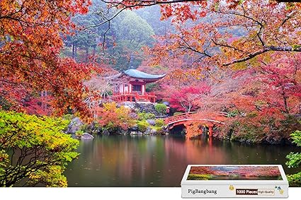 japanese ring puzzle amazon