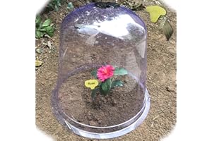 SYITCUN Plant Covers Winter 6 Pack Dome Plant Cloth Covers Freeze Protection Reusable Greenhouse Plastic for Outdoor Plants from Animals(13.2" Diam. X 11.8" Height)