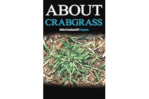 About Crabgrass: Make a Lookout of Crabgrass
