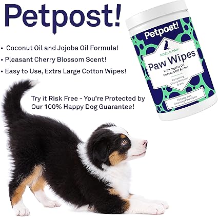 pet paw wipes