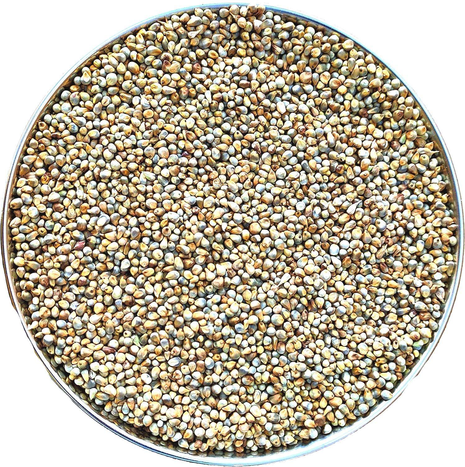 Buy Nirishree® Bird Feeder Pearl Millet (Bajra), Sajje/Kambu, Bird Food