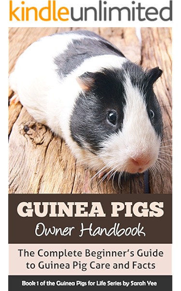 taking care of guinea pigs