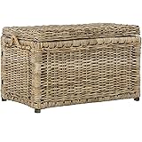 target wicker storage trunk