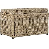happimess Jacob 30.7" Collapsible Wicker Storage Trunk, Natural | Hand-Woven Rattan, Removable Lid and Liner, Coastal Style, Folds Flat, Entryway Toy Chest, Mango Wood, Iron Frame