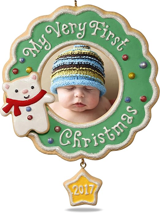 robot to play with dog