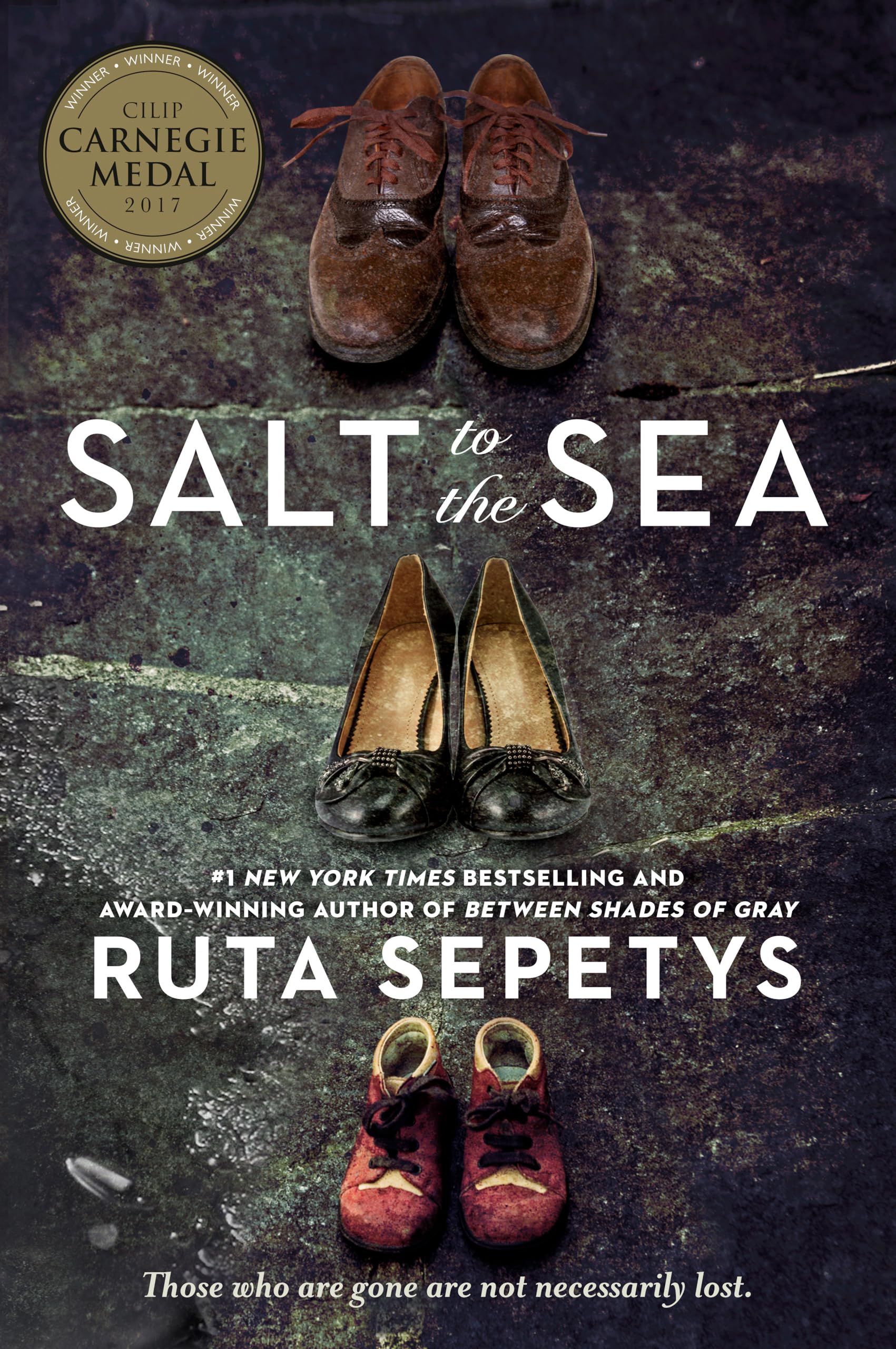 Salt to the Sea Salt to the Sea Paperback Audible Audiobook Kindle Hardcover Audio CD