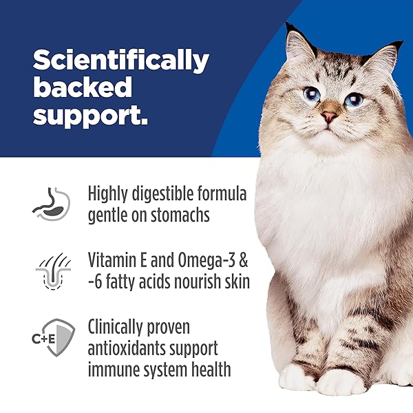HILL’S SCIENCE DIET ADULT SENSITIVE STOMACH & SKIN DRY CAT FOOD, POLLOCK MEAL & BARLEY RECIPE, 6 LB. BAG (UPDATED FORMULA)