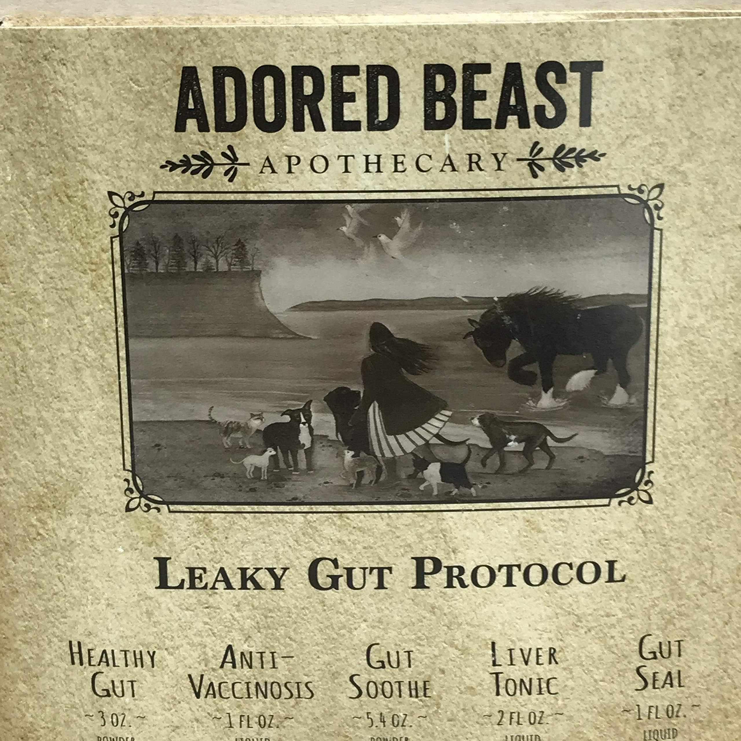Adored beast Leaky Gut Protocol