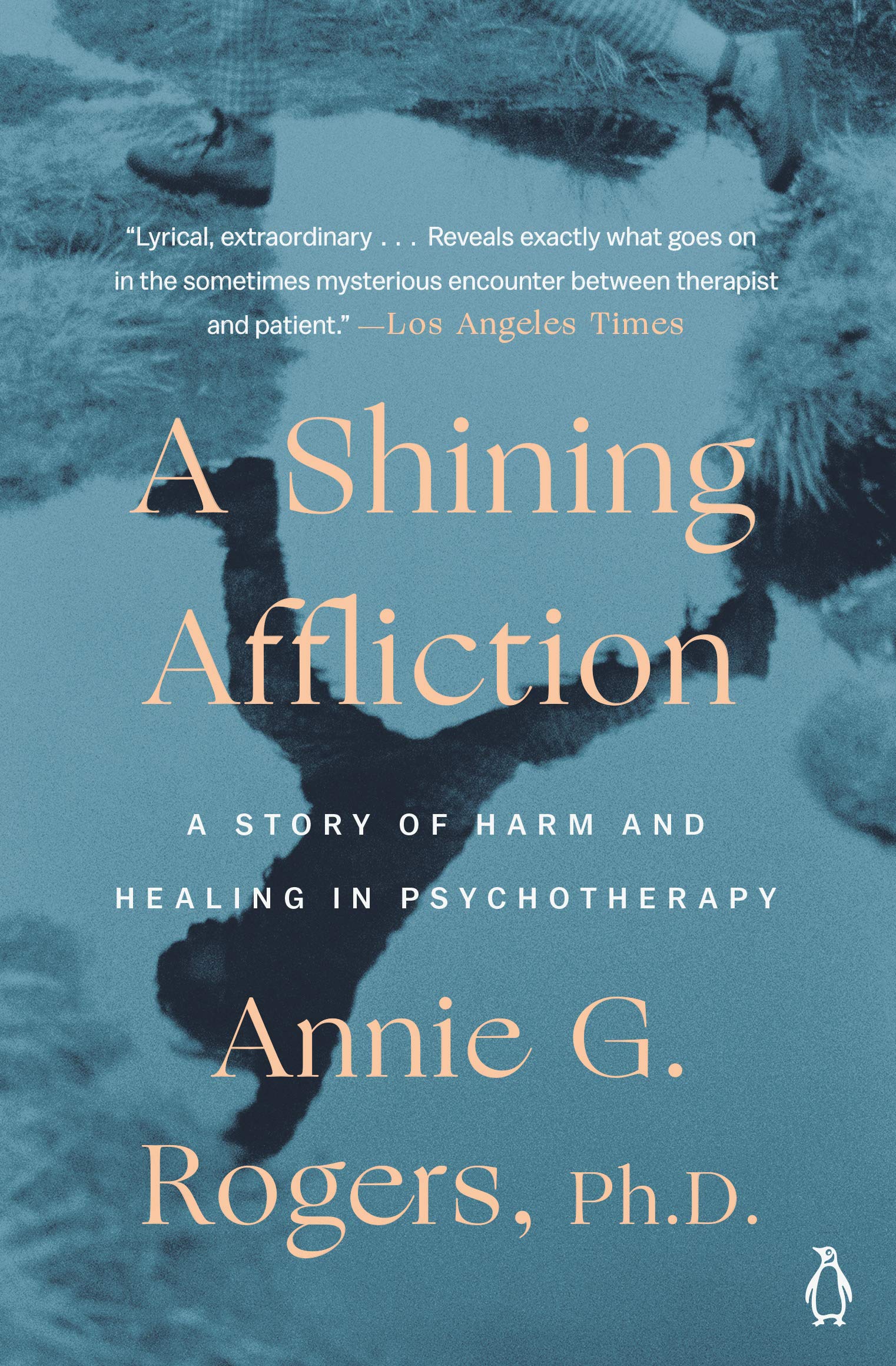 A Shining Affliction A Story Of Harm And Healing In Psychotherapy Rogers Annie G 9780140240122 Amazon Com Books