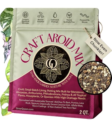 Amazon.com : Premium Calathea Plant Soil Mix by Gardenera - Stimulate  Growth and Elevate Leaf Patterns with Nourishing Formula - 5 Quart : Patio,  Lawn & Garden