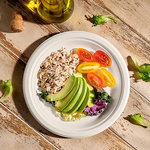 100% Compostable Paper Plates Heavy Duty -150 Pack Biodegradable