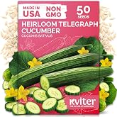 50 English Telegraph Cucumber Heirloom Vegetable Seeds, Cucumis Sativus | English Cucumber, Burpless and Near Seedless Cucumbers, Heirloom Seeds, Vegetable Seeds for Planting Outdoors in Home Garden