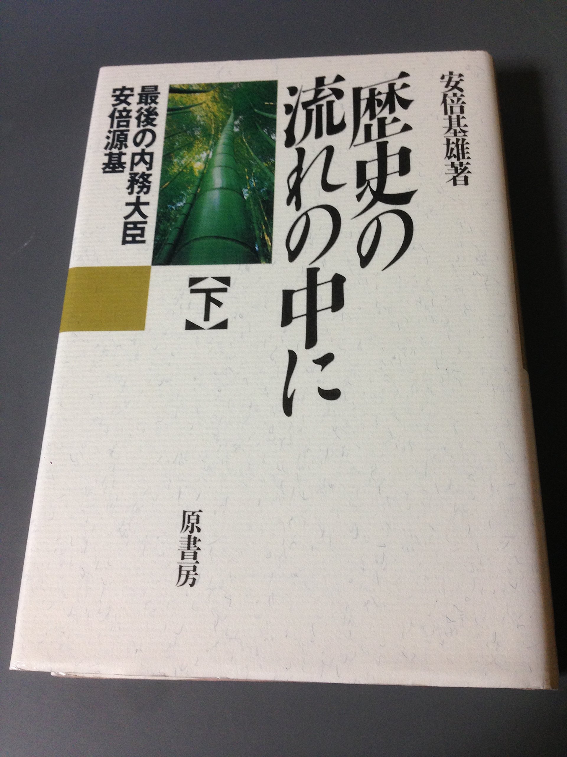 歴史の流れの中に 最後の内務大臣安倍源基 下 Amazon Com Books