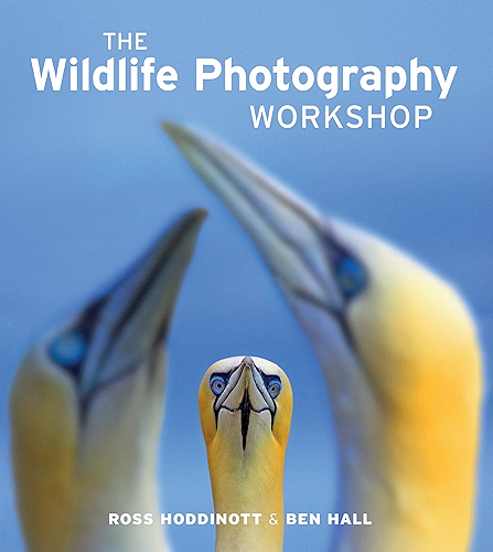 Download The Wildlife Photography Workshop (English Edition) PDF
