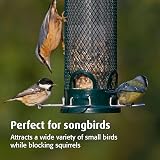 Jacobi Jayne Squirrel Buster Mini Squirrel Proof Bird Feeder view 6