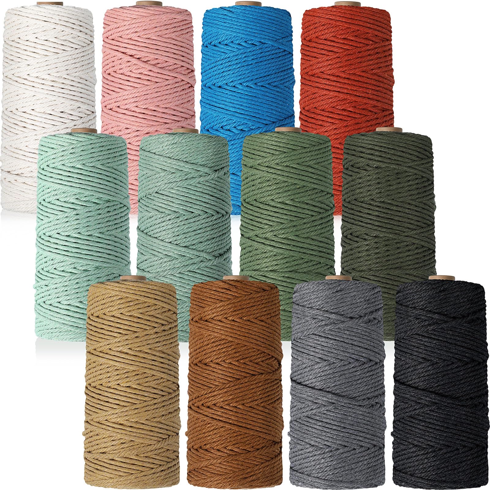 Photo 1 of Wesnoy 12 Rolls Macrame Cord, 3 mm x 1308 Yards Natural Cotton Twine, Colored Macrame String, Colorful Cotton Rope for DIY Crafts Knitting, Artworks, Wall Hanging, Plant Hangers (Classic Color)