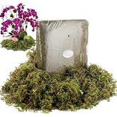 BYHER 19 OZ Fake Moss for Potted Plants Indoor, Artificial Moss for DIY Crafts, Faux Decroative Moss for Fake Plants Home &amp; Garden Wedding Decor (Fresh Green - 540gr)