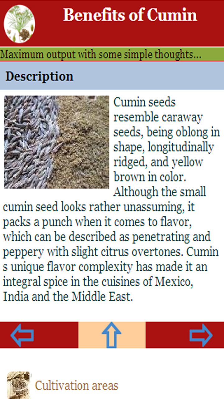 Benefits of Cumin for Android