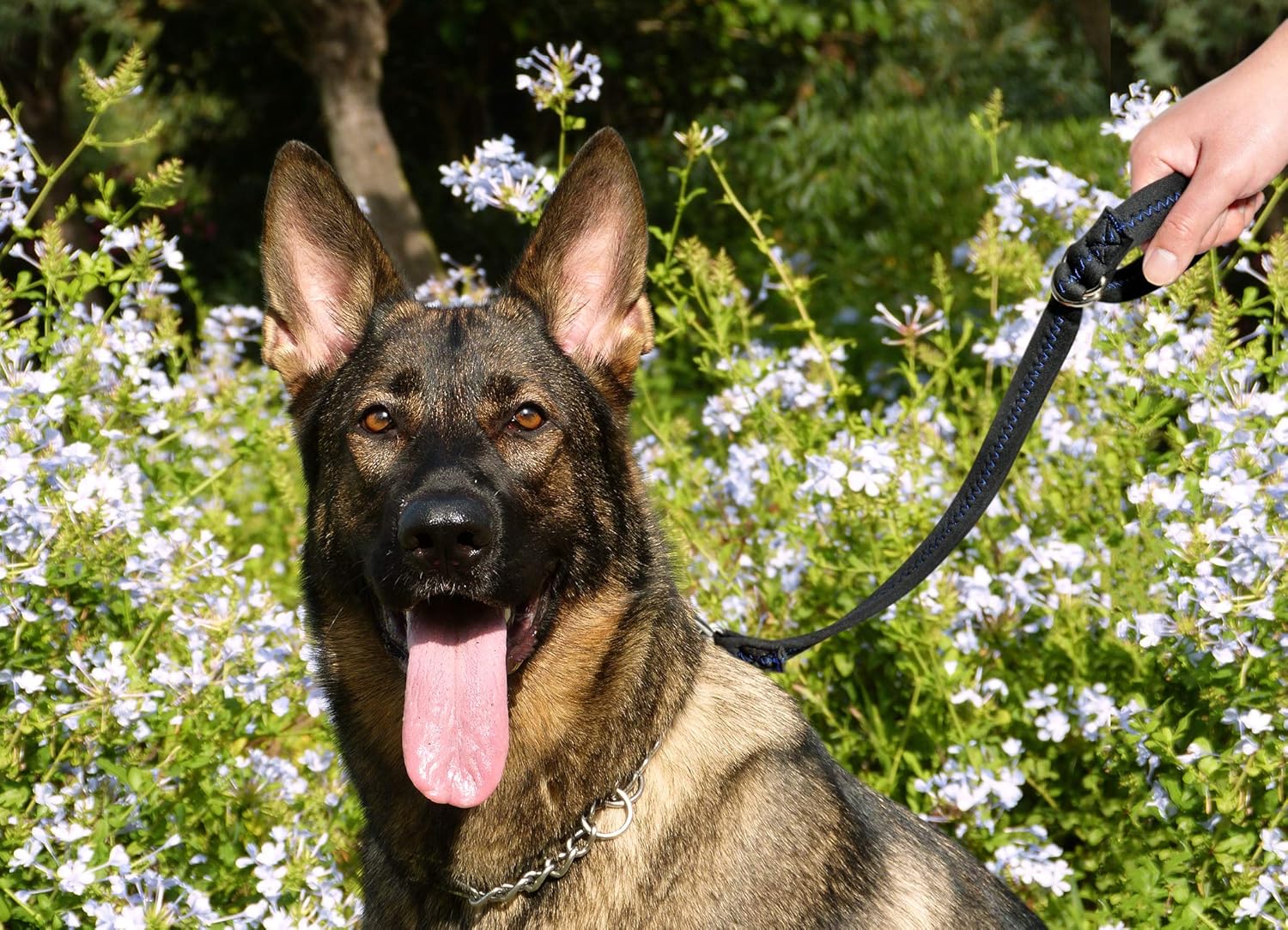 dog lead attachment for pram