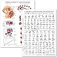 2 Pack - Labor & Birthing Positions Poster + Pregnancy Anatomy Chart - Childbirth Education for Doula, Midwife or Birthworker - 18" x 24" - Laminated