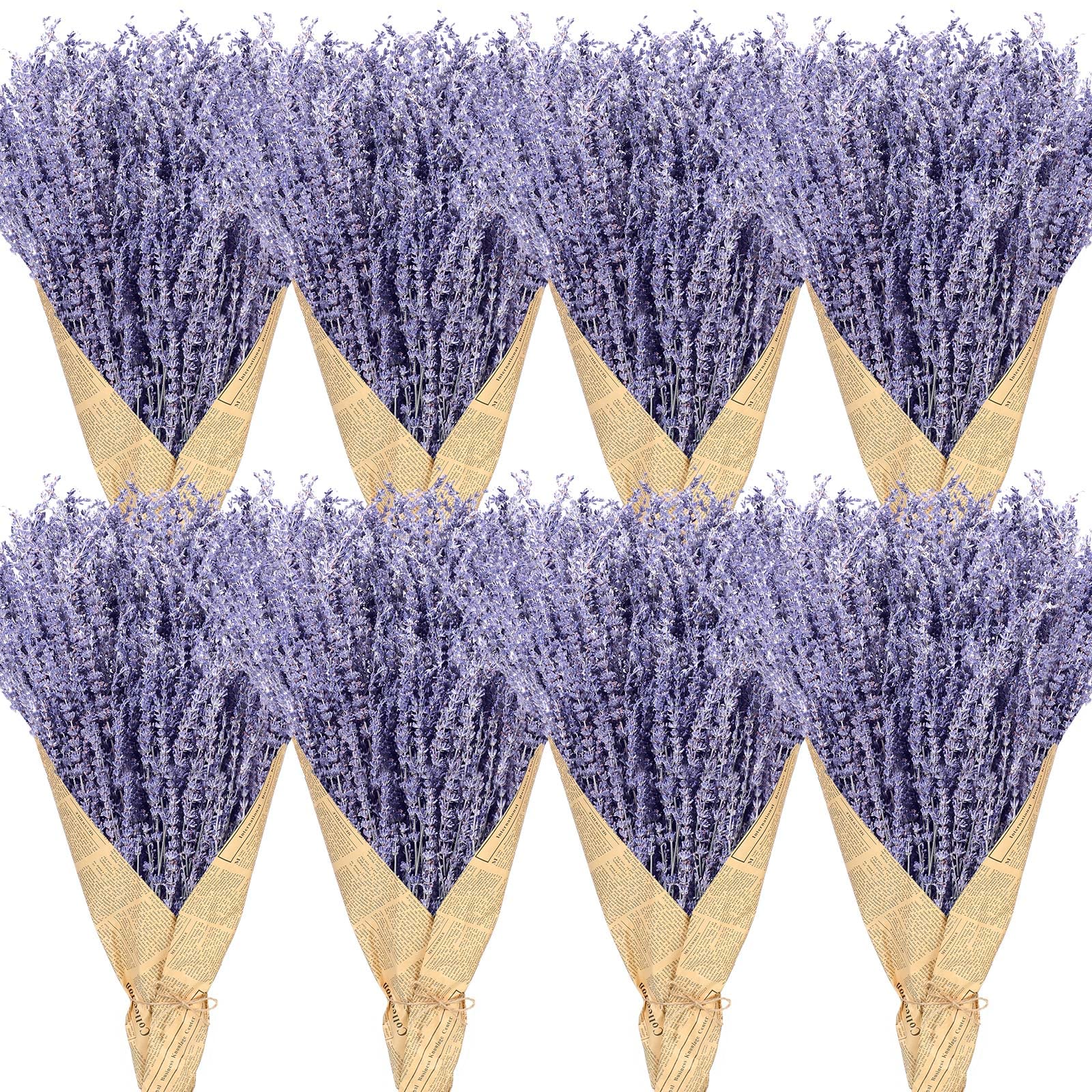 View 1 of ***MISSING HALF***
Tigeen 8 Bundles Dried Lavender Bundles 16 Inches 1120-1200 Stems French Dried Lavender Natural Dried Flowers Dried Lavender Bundle for Home Decorations Wedding Photo Props Party Flower Arrangement