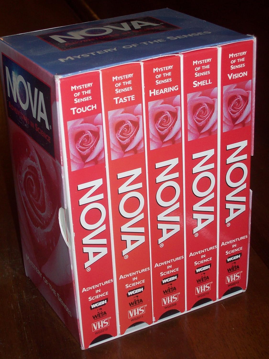 Nova: Mystery of the Senses [Alemania] [VHS]: Amazon.es: Nova-Mystery of the Senses: Cine y Series TV