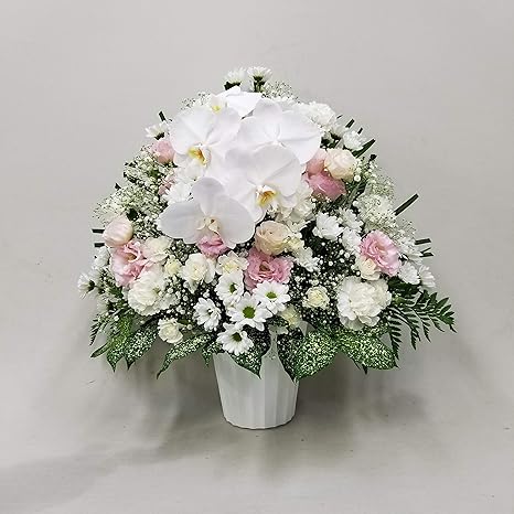 Amazon 供花 胡蝶蘭入ｶｰﾈｰｼｮﾝとｶｽﾐｿｳｱﾚﾝｼﾞwp H60 奥行 約40cm 幅 約50cm 高さ 約60cm フラワーアレンジメント オンライン通販