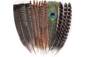 Ballinger Large Natural Pheasant Feathers - 8-12inch 4 Styles 15Pcs Assorted Craft Feathers Bulk,Peacock Pheasant Turkey Feather for Crafting Vase Hat Wedding Autumn Party Decor