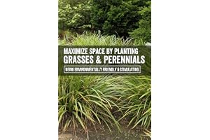 Maximize Space By Planting Grasses & Perennials: Being Environmentally Friendly & Stimulating: Planting Grasses For Shared-Sp