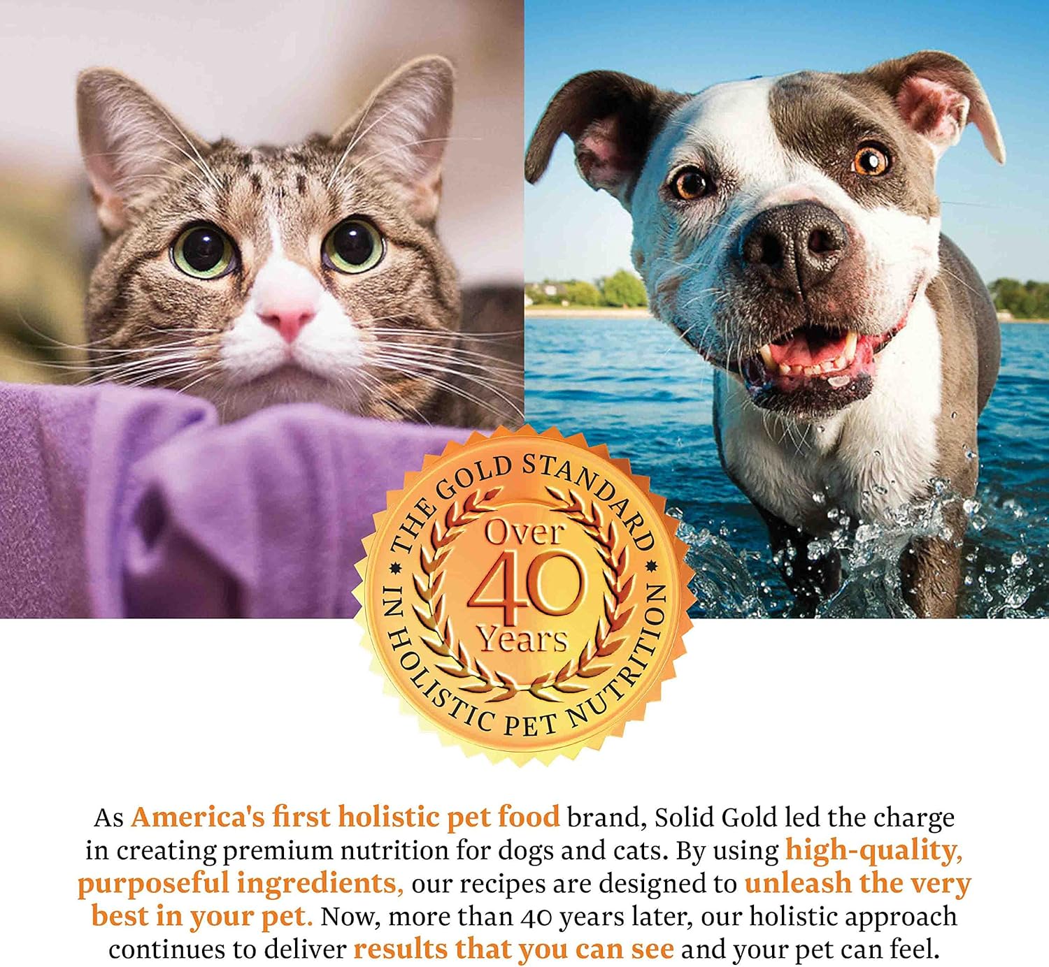 solid gold seameal for dogs