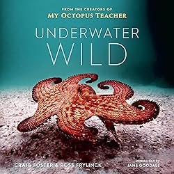 The Underwater Wild: My Octopus Teacher's